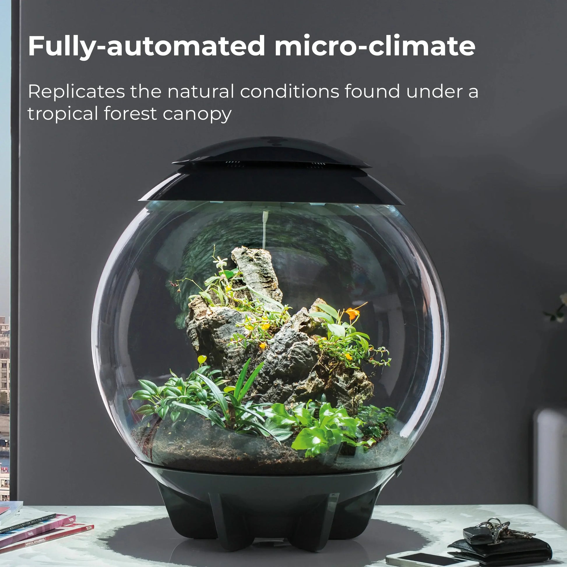 BiOrb AIR 60 Terrarium BiOrb