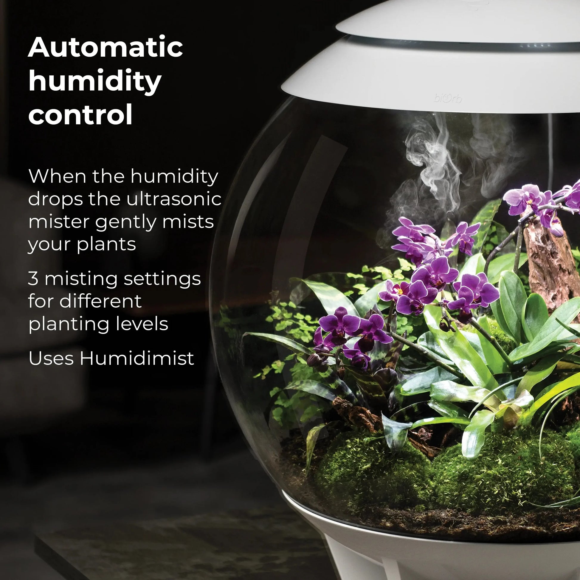 BiOrb AIR 60 Terrarium BiOrb