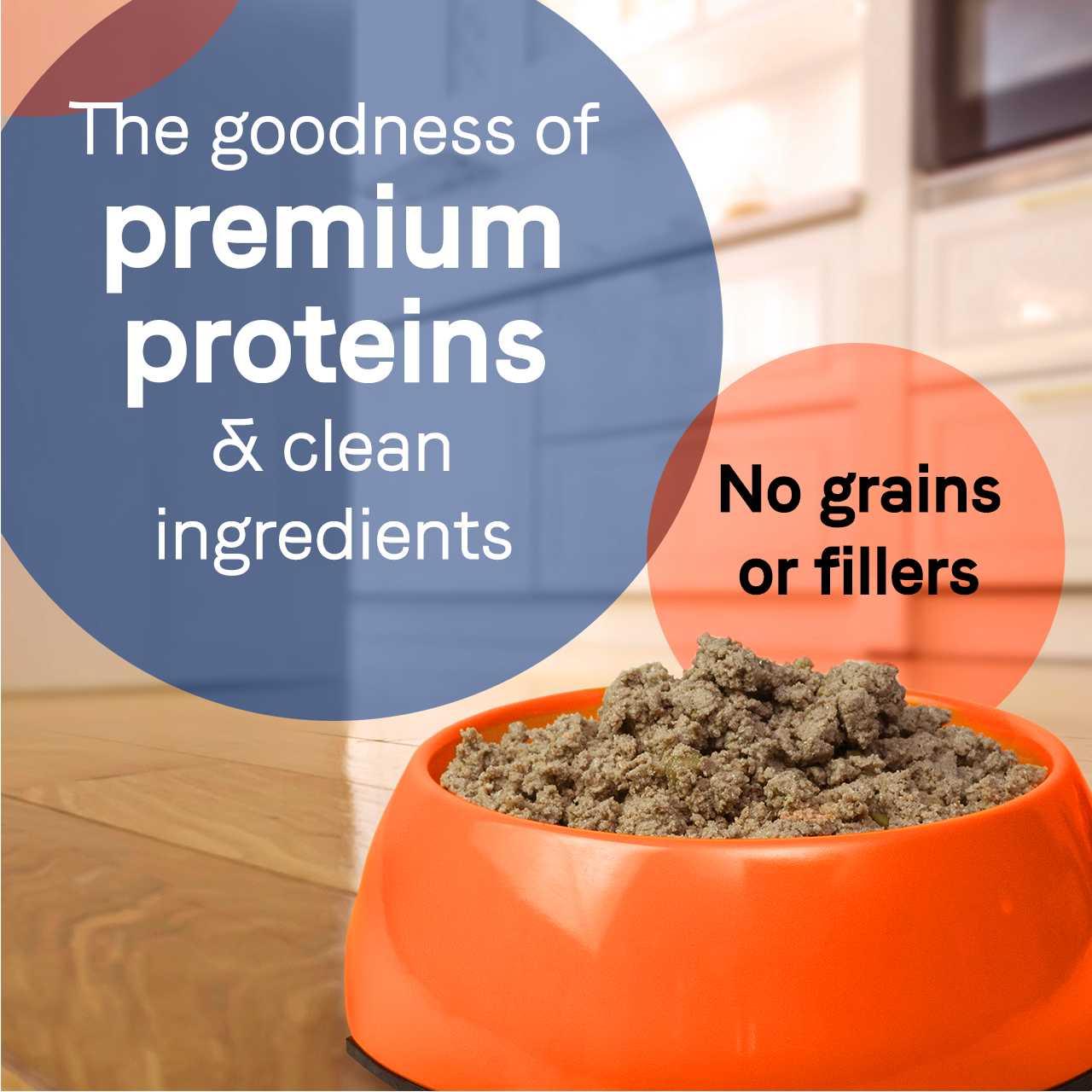 CANIDAE PURE Grain-Free Wet Dog Food 12ea/13 oz CANIDAE