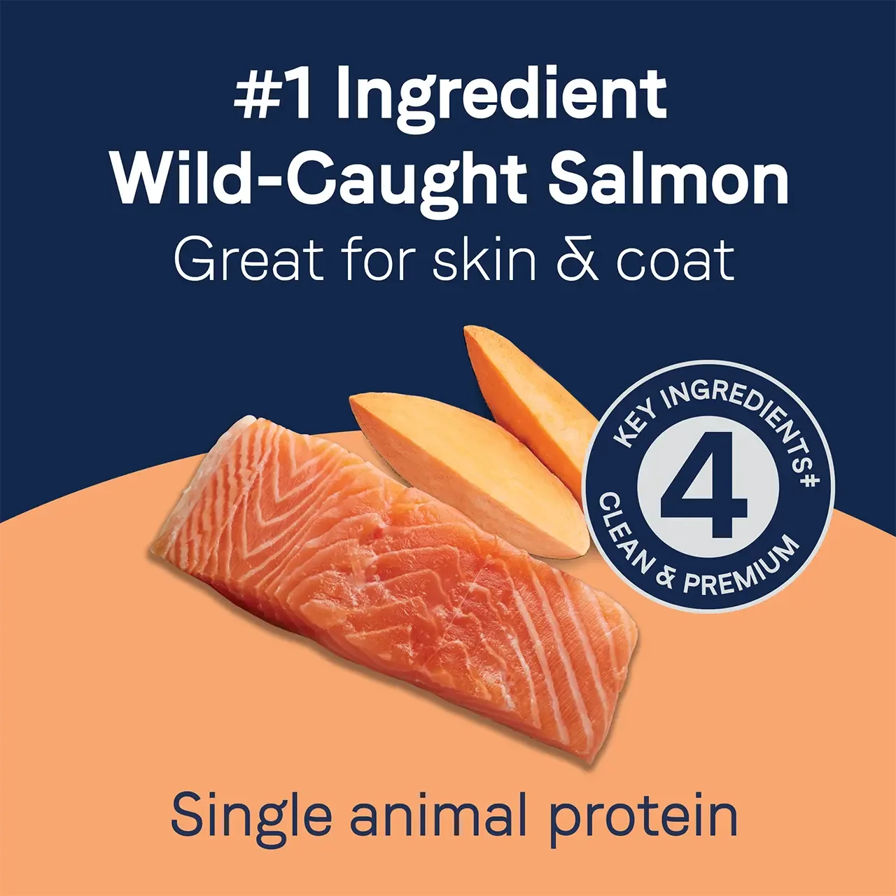CANIDAE PURE Salmon Jerky w/Sweet Potato Dog Treats 4 oz CANIDAE