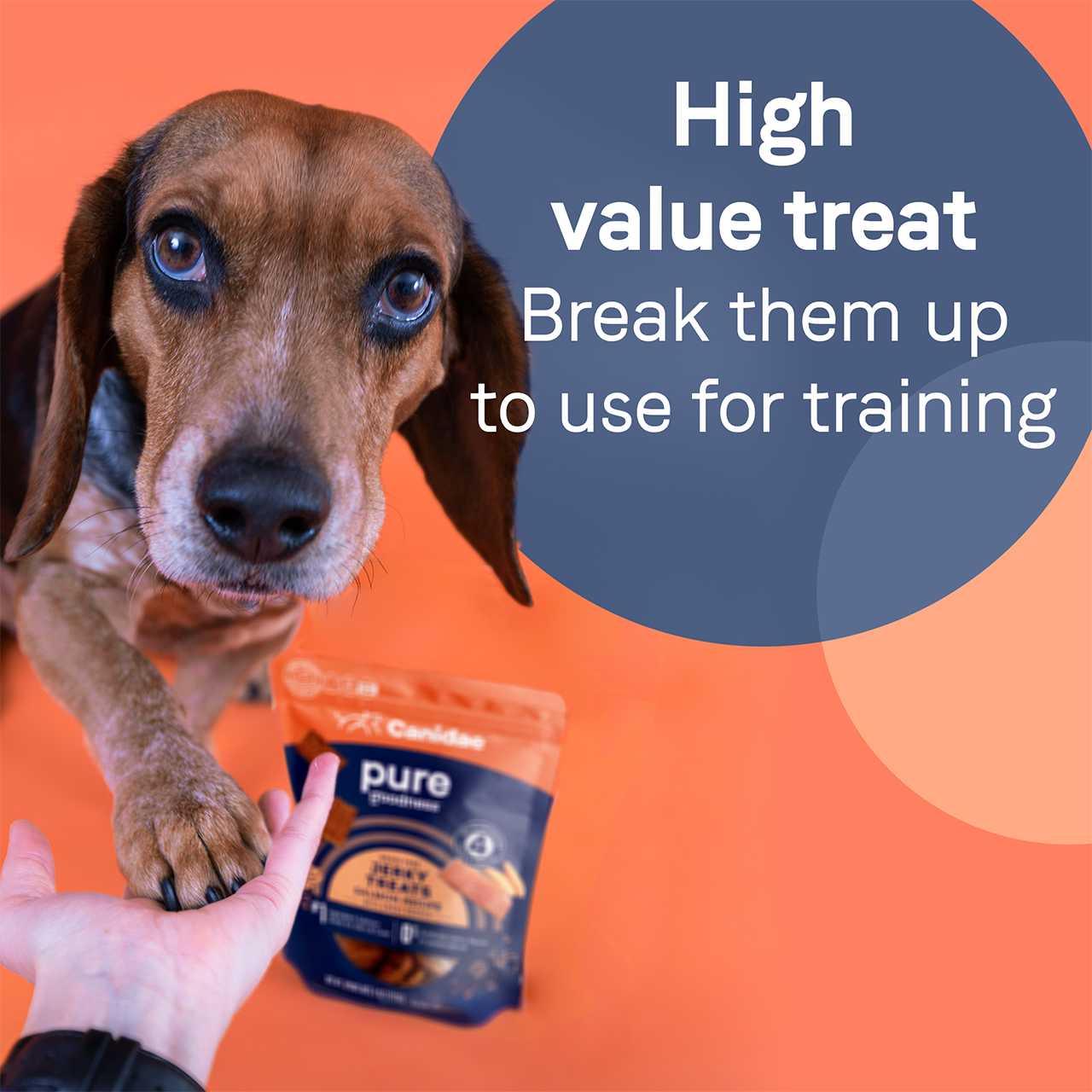 CANIDAE PURE Salmon Jerky w/Sweet Potato Dog Treats 4 oz CANIDAE