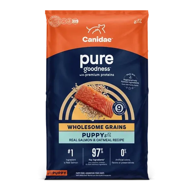 A bag of CANIDAE PURE with Wholesome Grains Puppy Real Salmon & Oatmeal Recipe Dry Dog Food features real salmon and oatmeal. The blue, orange, and cream pack shows salmon, grains, and key benefits. Brand: CANIDAE.