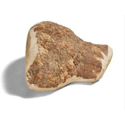 CANOPHERA All Natural Briar Wood Chew for Dogs CANOPHERA