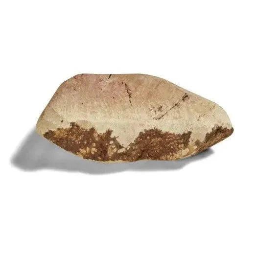 CANOPHERA All Natural Briar Wood Chew for Dogs CANOPHERA