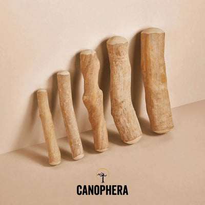 CANOPHERA All Natural Coffee Wood Chew for Dogs CANOPHERA