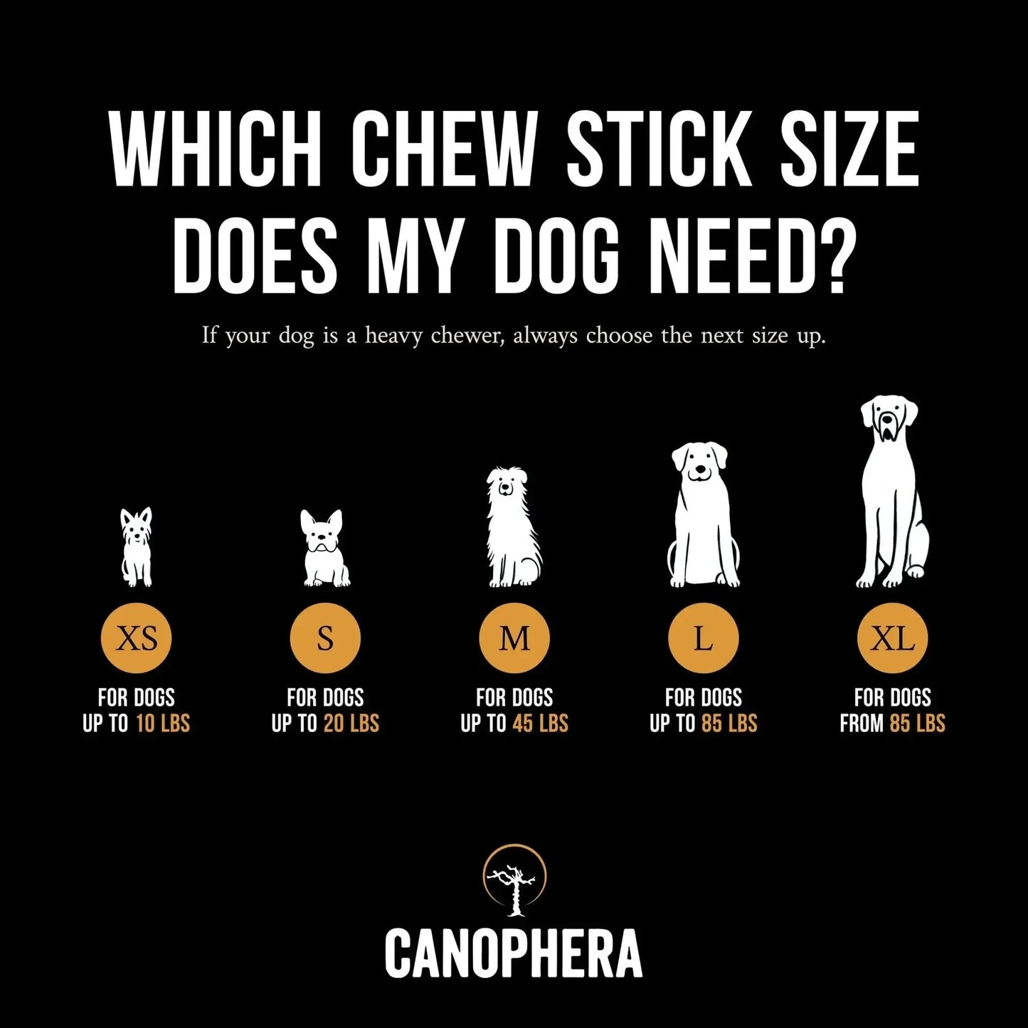 CANOPHERA All Natural Coffee Wood Chew for Dogs CANOPHERA