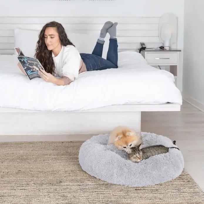 Calming Dog Bed For Large Medium and Small Pets Katziela