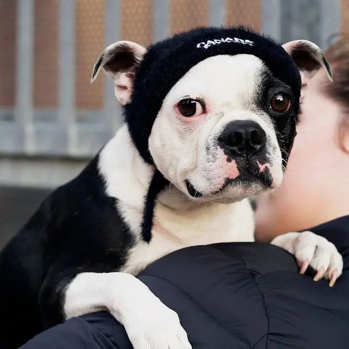 Canada Pooch Pawparazzi Dog Beanie Canada Pooch