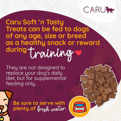 Caru Pet Food Soft 'n Tasty Baked Bites Alligator Recipe Grain-Free Dog Treats Caru Pet Food