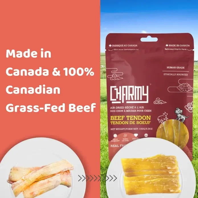 Charmy Pet Beef Tendon Dog Treats 5.6 oz Charmy Pet