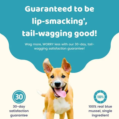 Charmy Pet Blue Mussel Dog Treats 3.8 oz Charmy Pet