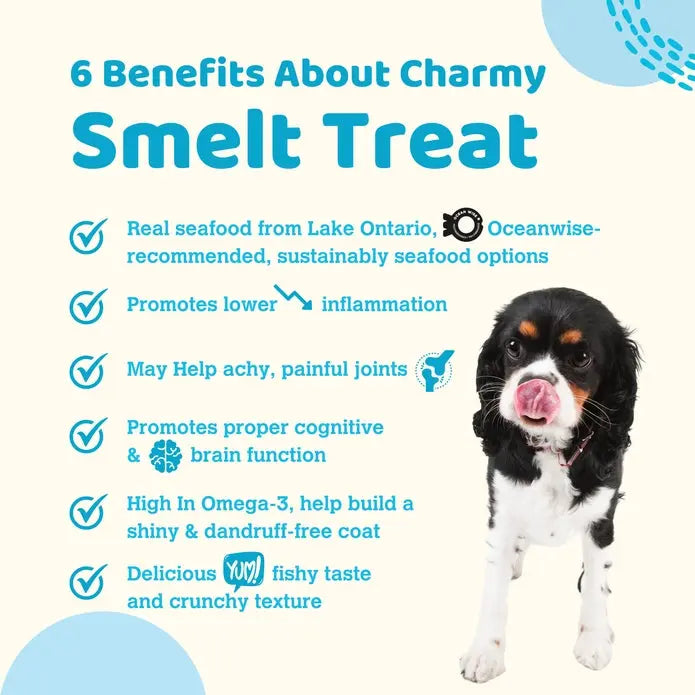 Charmy Pet Lake Smelt Dog Treats 3.8 oz Charmy Pet