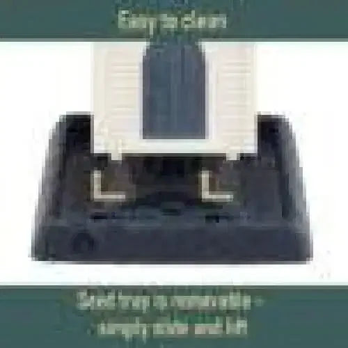 Replaced Image