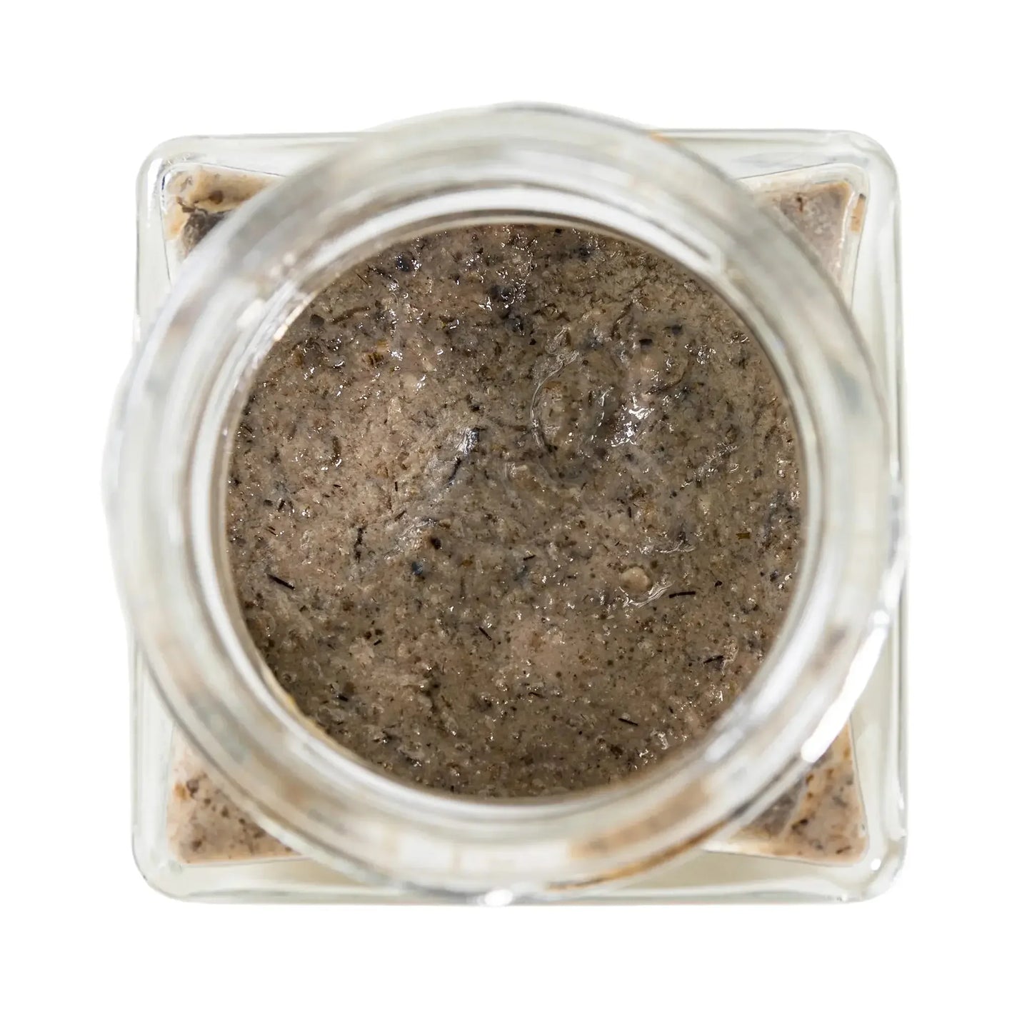 Cricket Jam Antcube