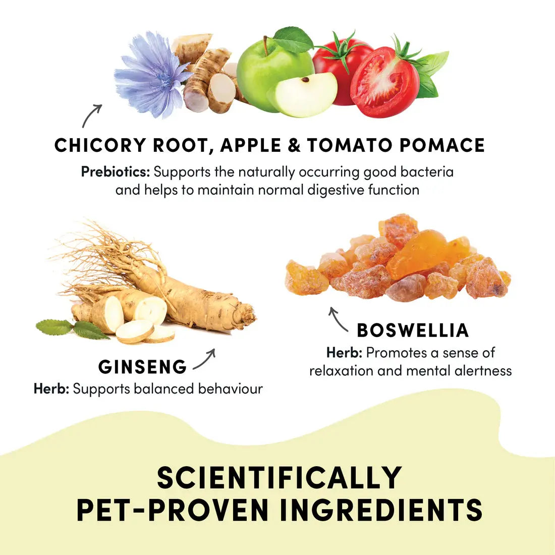 Crumps Naturals Gutsy Happy Bites, featuring chicory root, apple & tomato pomace for digestion and ginseng for balanced behavior, also include Boswellia for relaxation and prebiotics. These treats use scientifically proven ingredients to support your dogs mood and gut health.