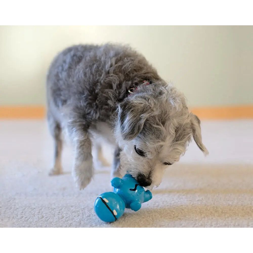 Cycle Dog 3-Play Hippo Dog Toy Cycle Dog