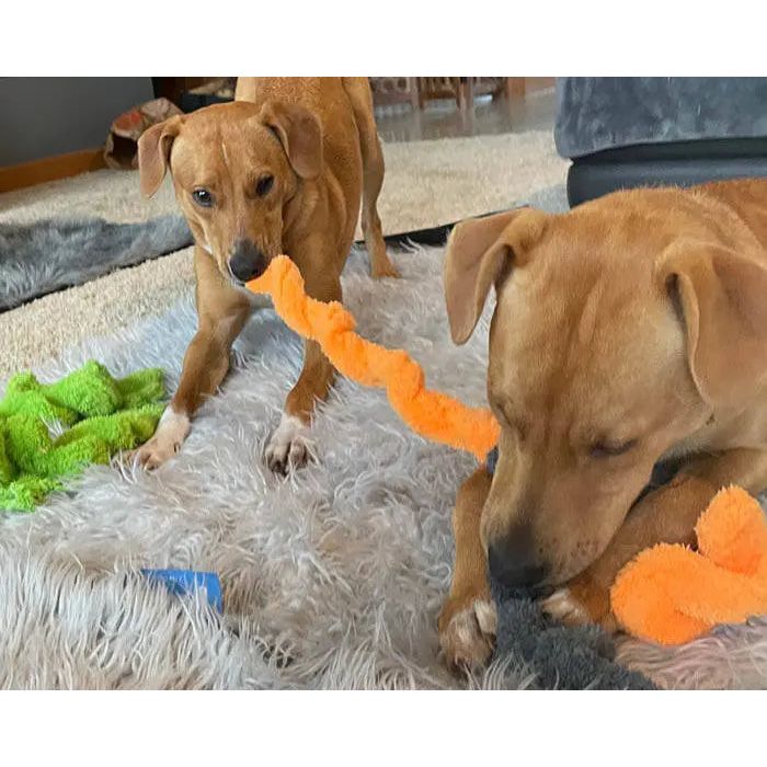 Cycle Dog Duraplush Springy Thing Dog Toy Cycle Dog