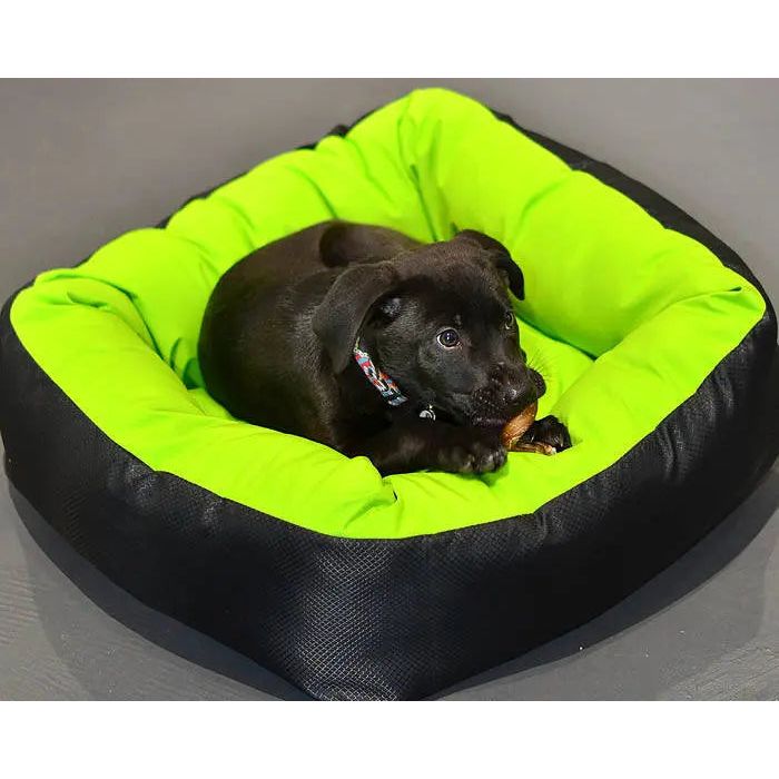 A small black puppy lies on the Cycle Dog Waterproof Barrier Nestle Dog Bed by Cycle Dog, in green and black, chewing a toy with its collar visible.