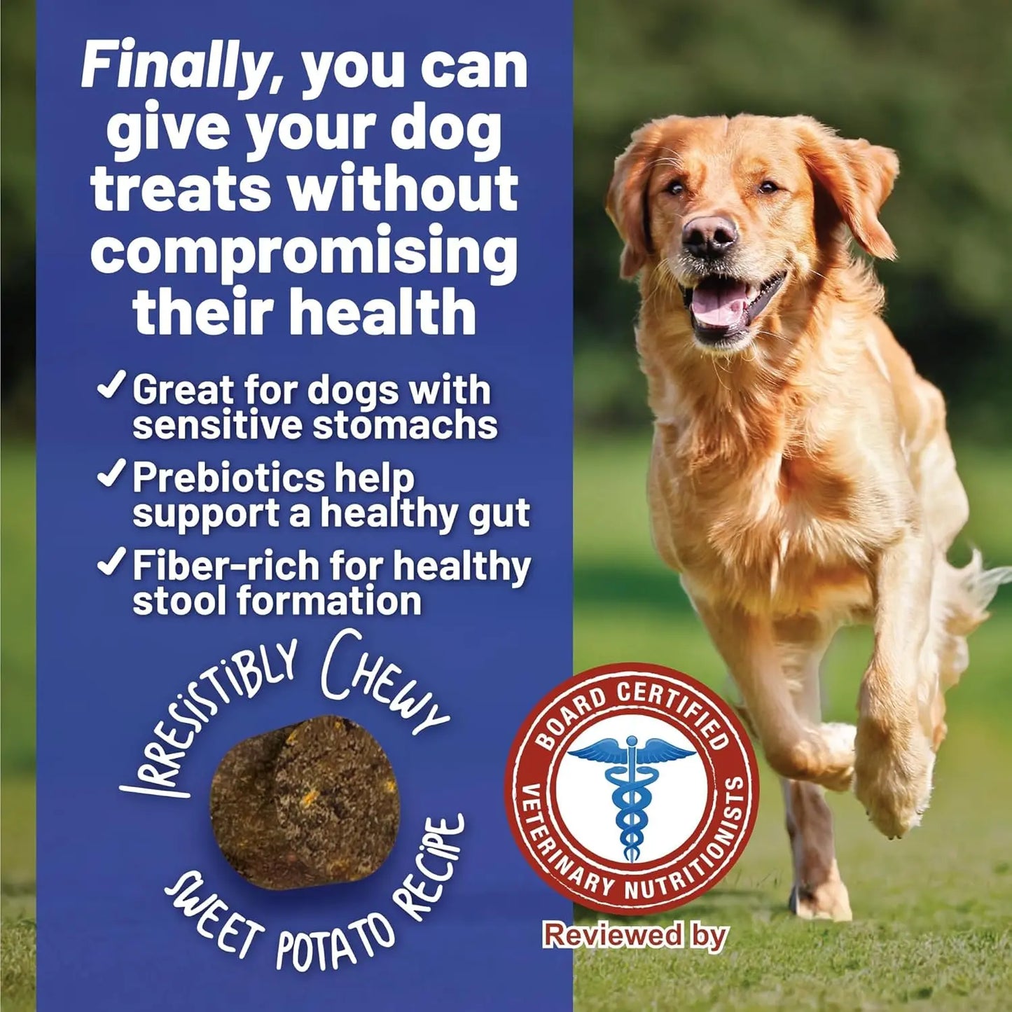 A golden retriever runs on grass. Text reads, “Finally, you can give your dog Dave’s Pet Food Sensitive Stomach Sweet Potato & Pumpkin Grain-Free Soft & Chewy Dog Treats—supporting digestion with prebiotics.” An image of the chewy treat is shown.