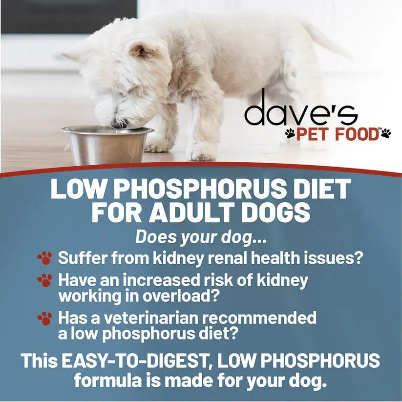 Dave's Pet Food Veterinarian Formulated Restricted Phosphorus & Protein Kidney Support, Tuna Pate in Gravy Wet Dog Food Dave's Pet Food