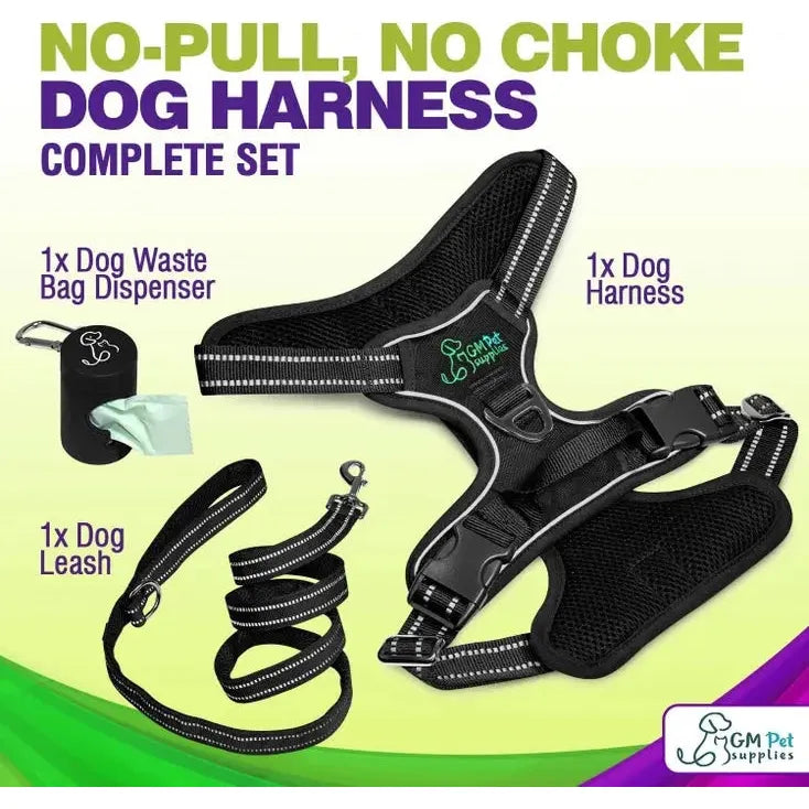 Dog Harness Walking Kit and Leash Set Katziela