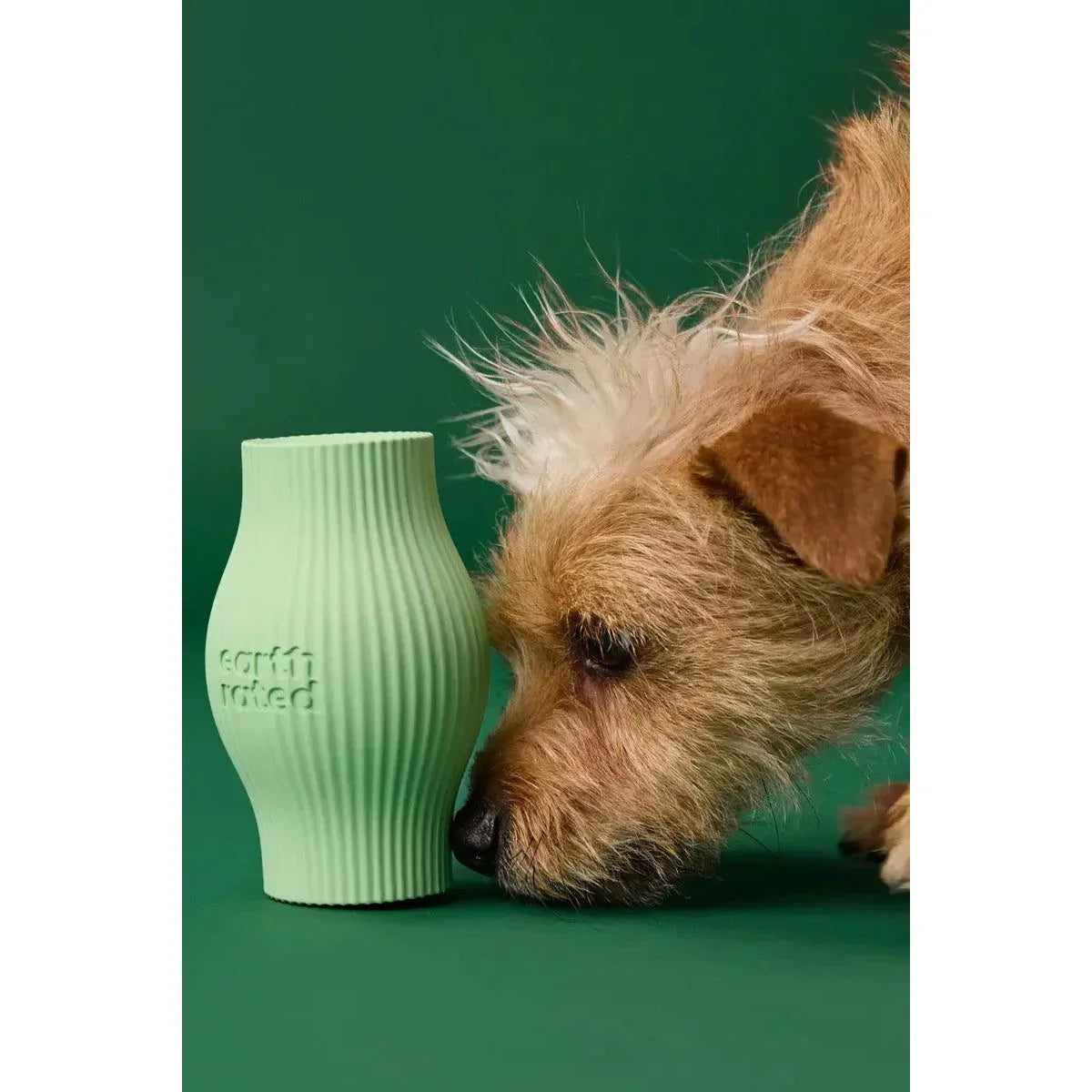 Earth Rated Treat Toy for Dogs Green Rubber Earth Rated