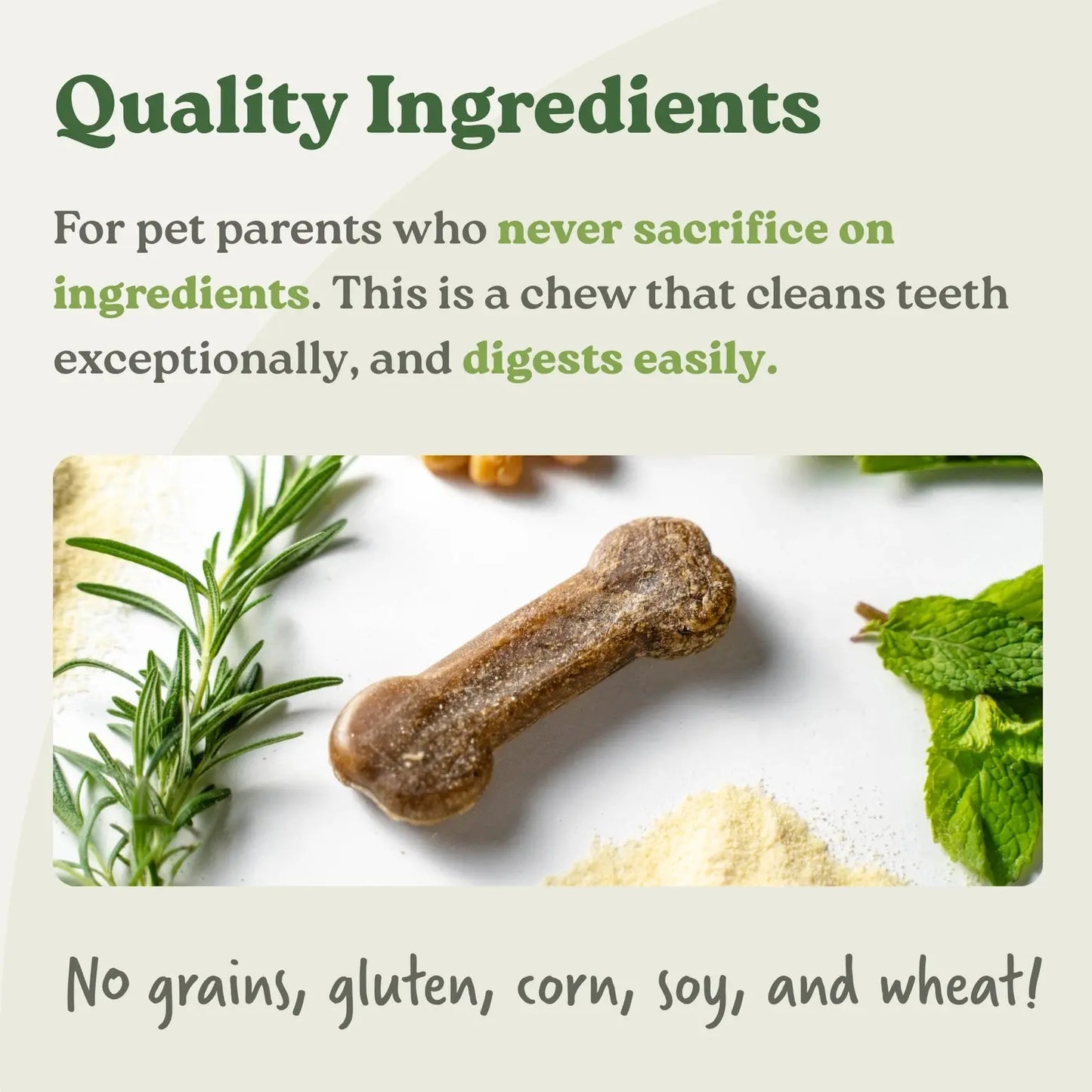 Earthbones Dental Chews For Dogs Presidio Natural