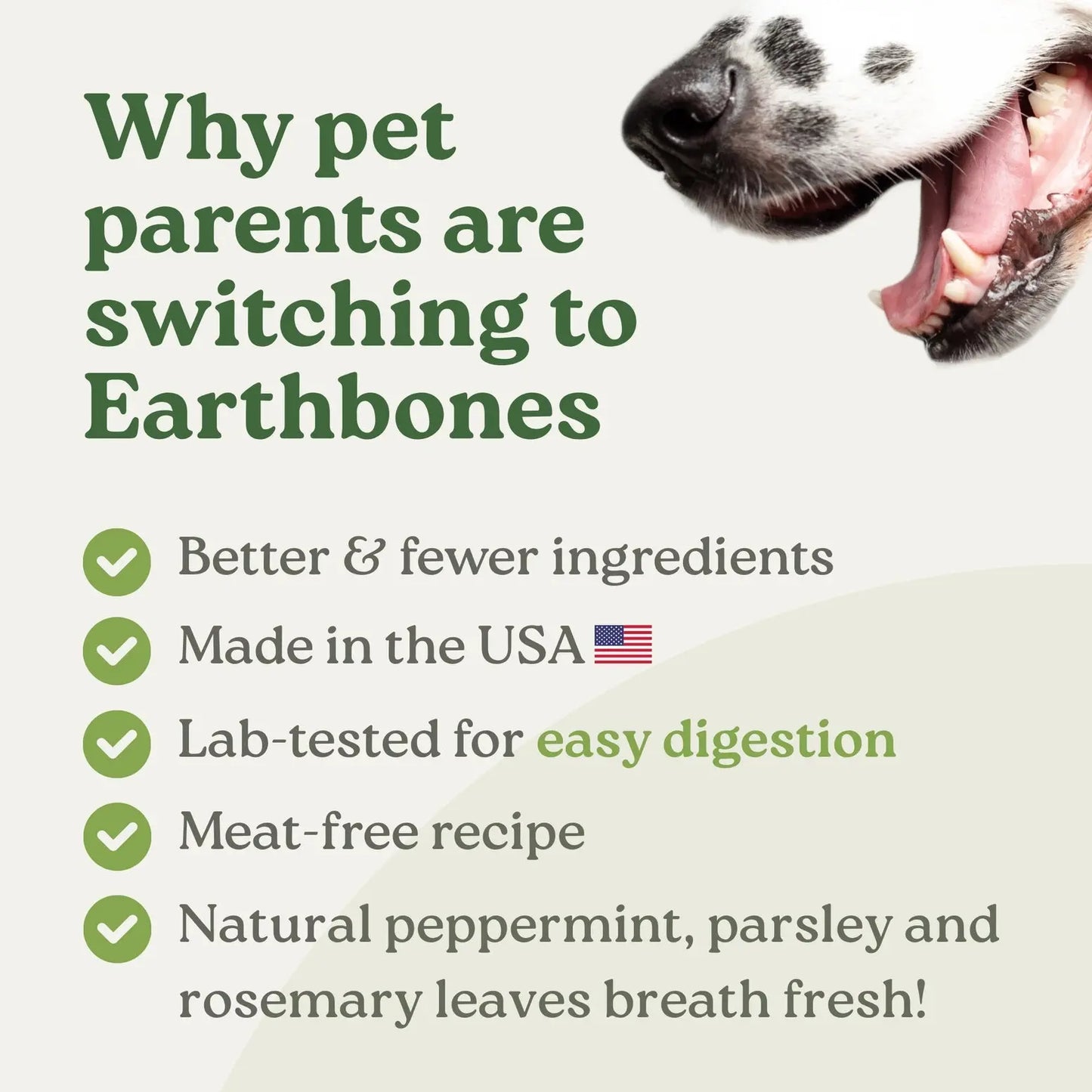Earthbones Dental Chews For Dogs Presidio Natural