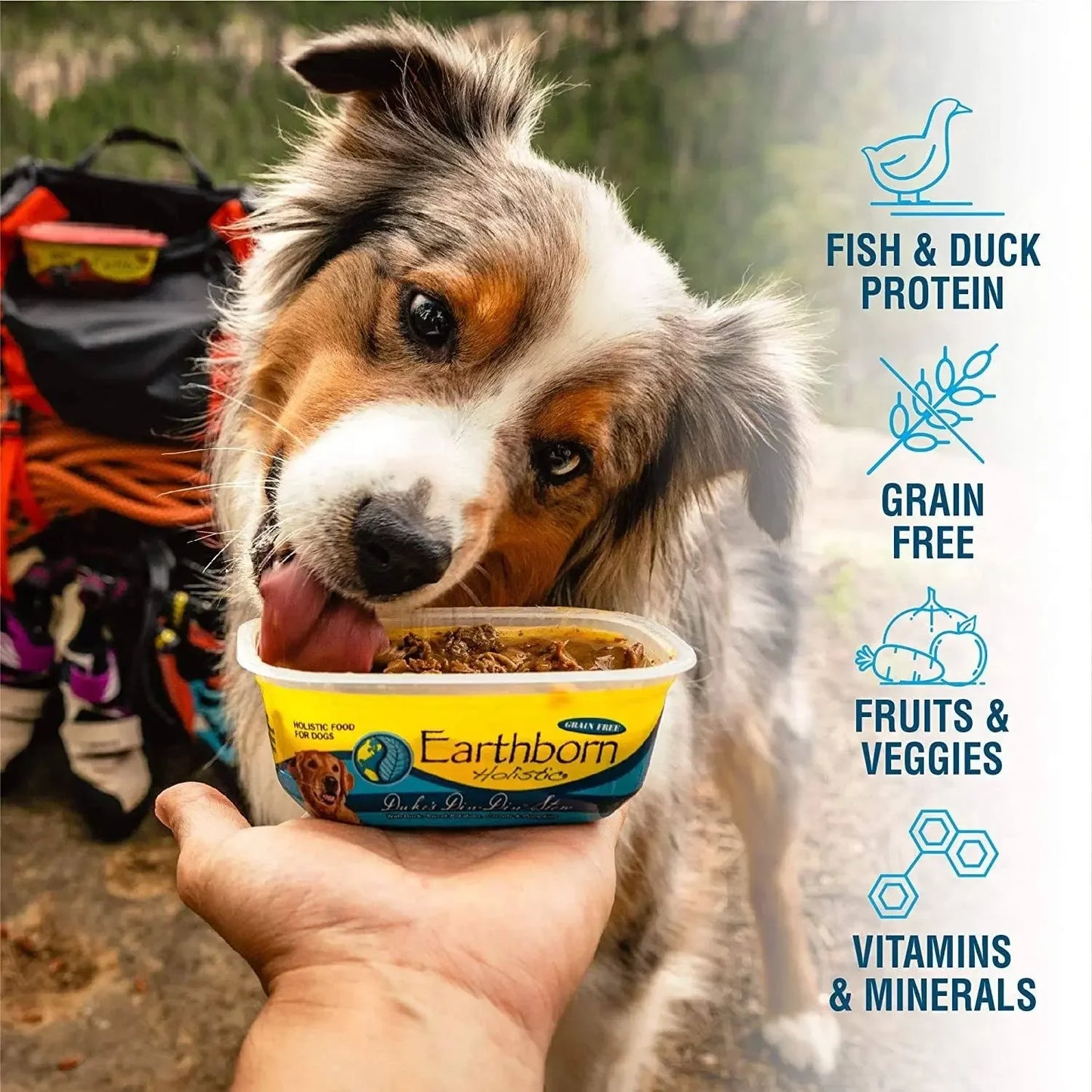Earthborn Holistic Duke's Din-Din Stew Grain-Free Wet Dog Food Earthborn Holistic