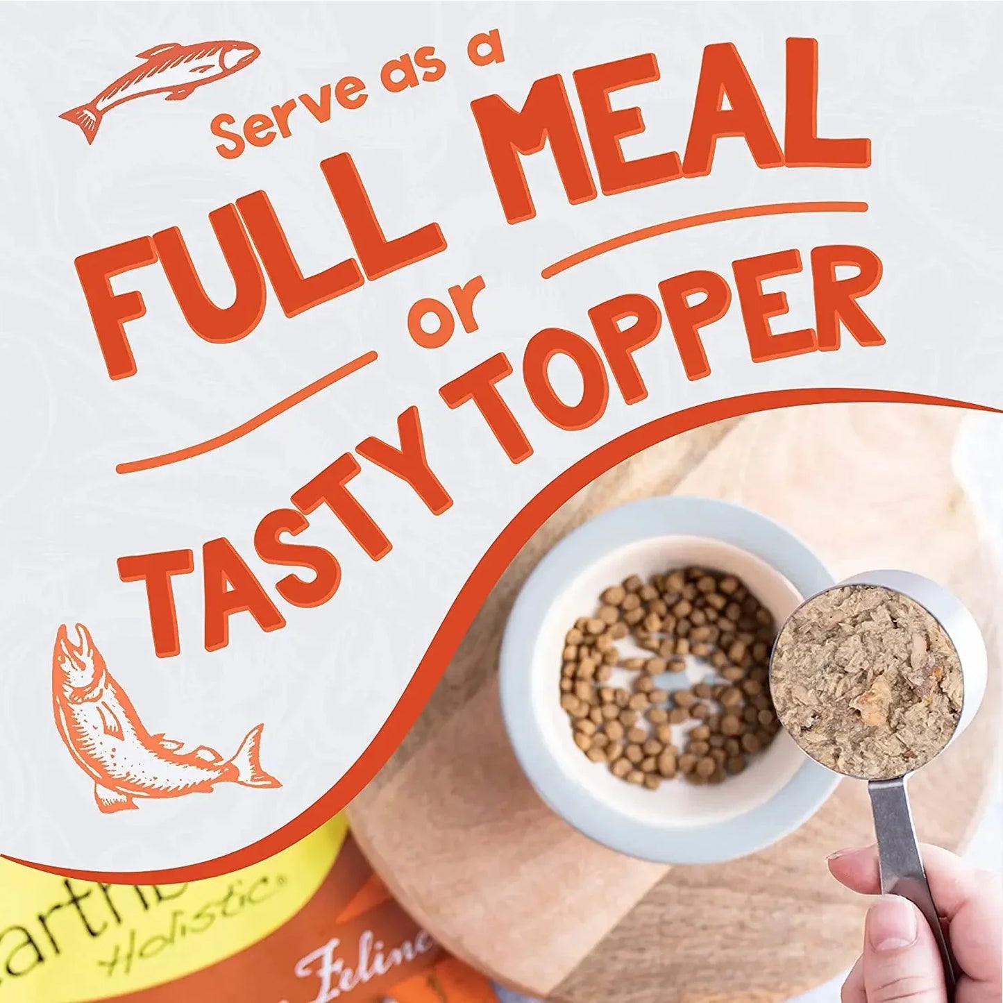 Earthborn Holistic Grain Free Catalina Catch Wet Cat Food Earthborn Holistic