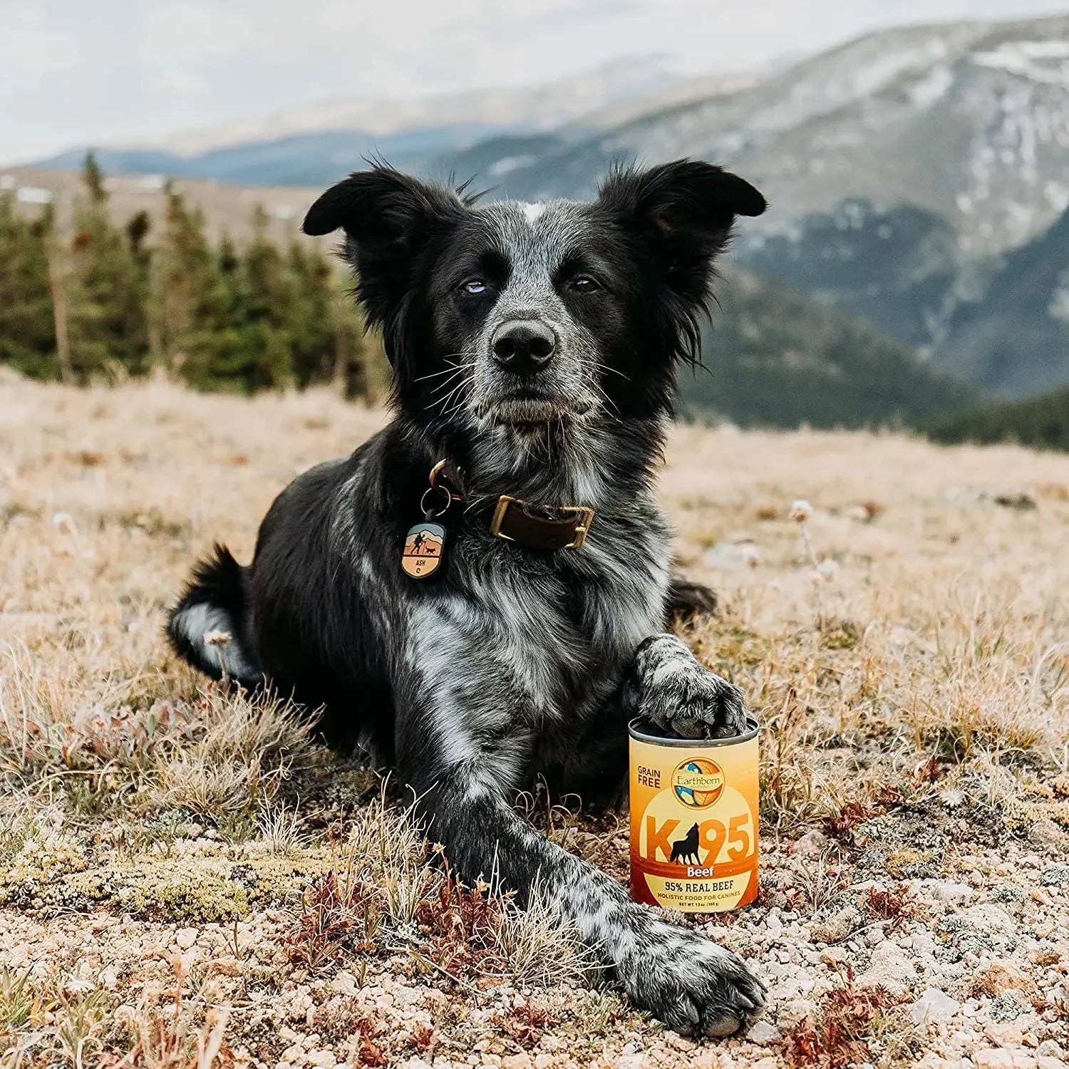 Earthborn Holistic Grain Free K95 Meat Protein Wet Dog Food 12ea/13 oz Earthborn Holistic