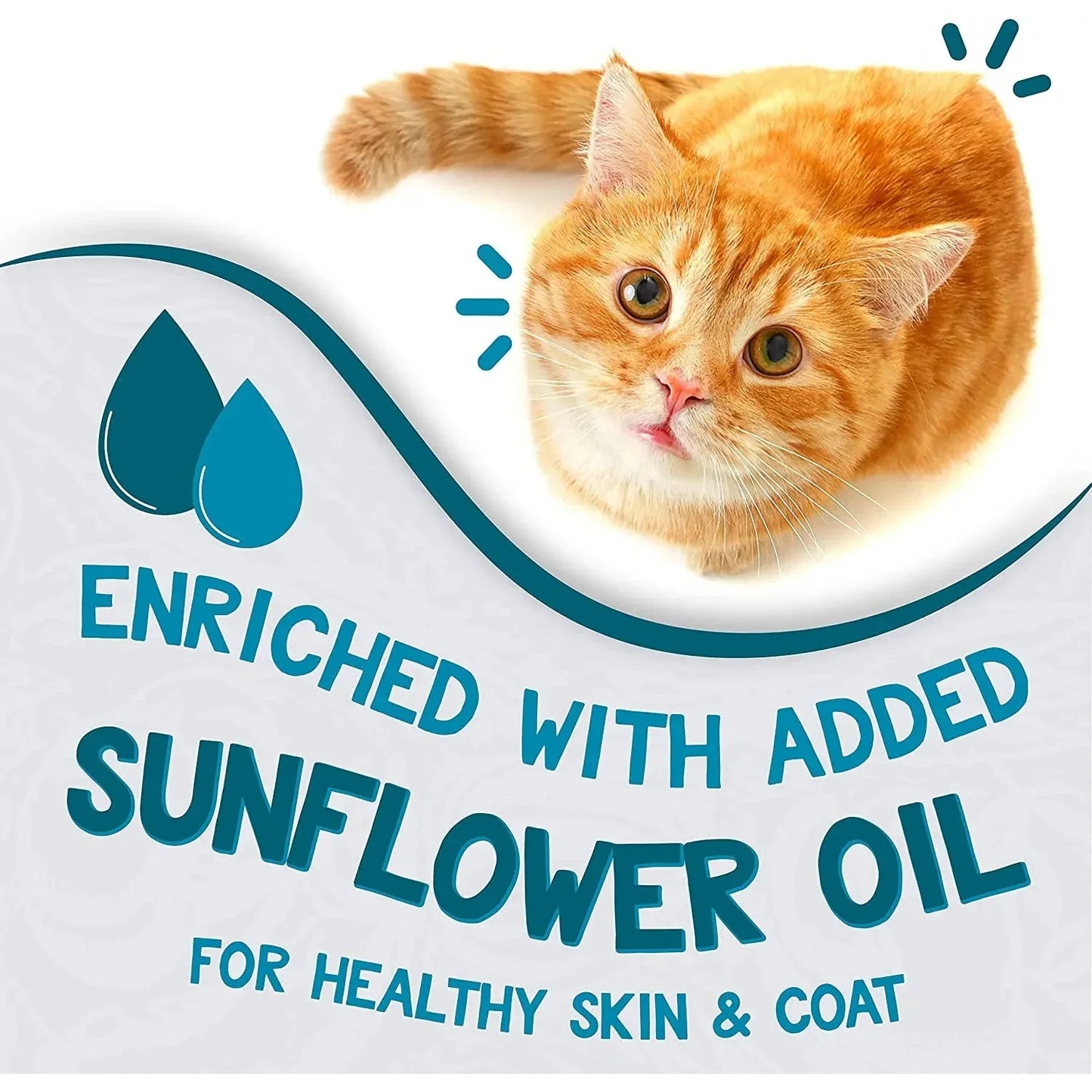 Earthborn Holistic Grain Free Monterey Medley Wet Cat Food Earthborn Holistic