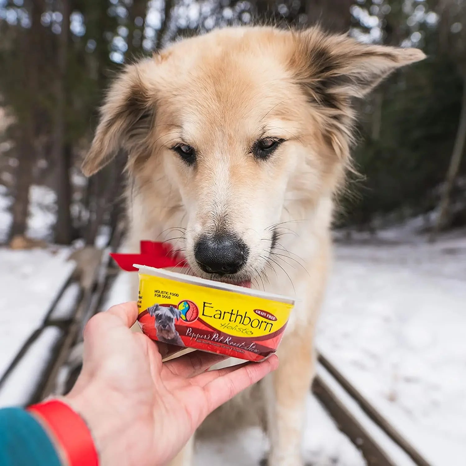 Earthborn Holistic Pepper's Pot Roast Stew Grain-Free Beef Wet Dog Food 8ea/8 oz Earthborn Holistic