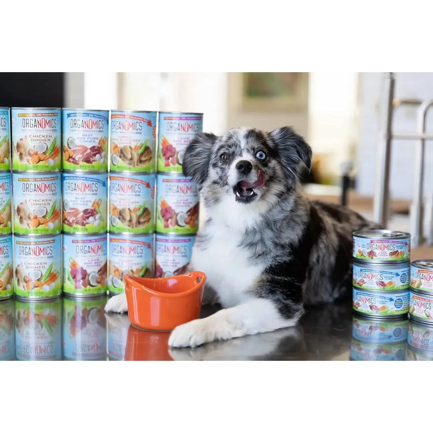 Evanger's OrgaNOMics Salmon & Duck Dinner Grain-Free Pate Wet Cat Food 24/5.5oz Evanger's