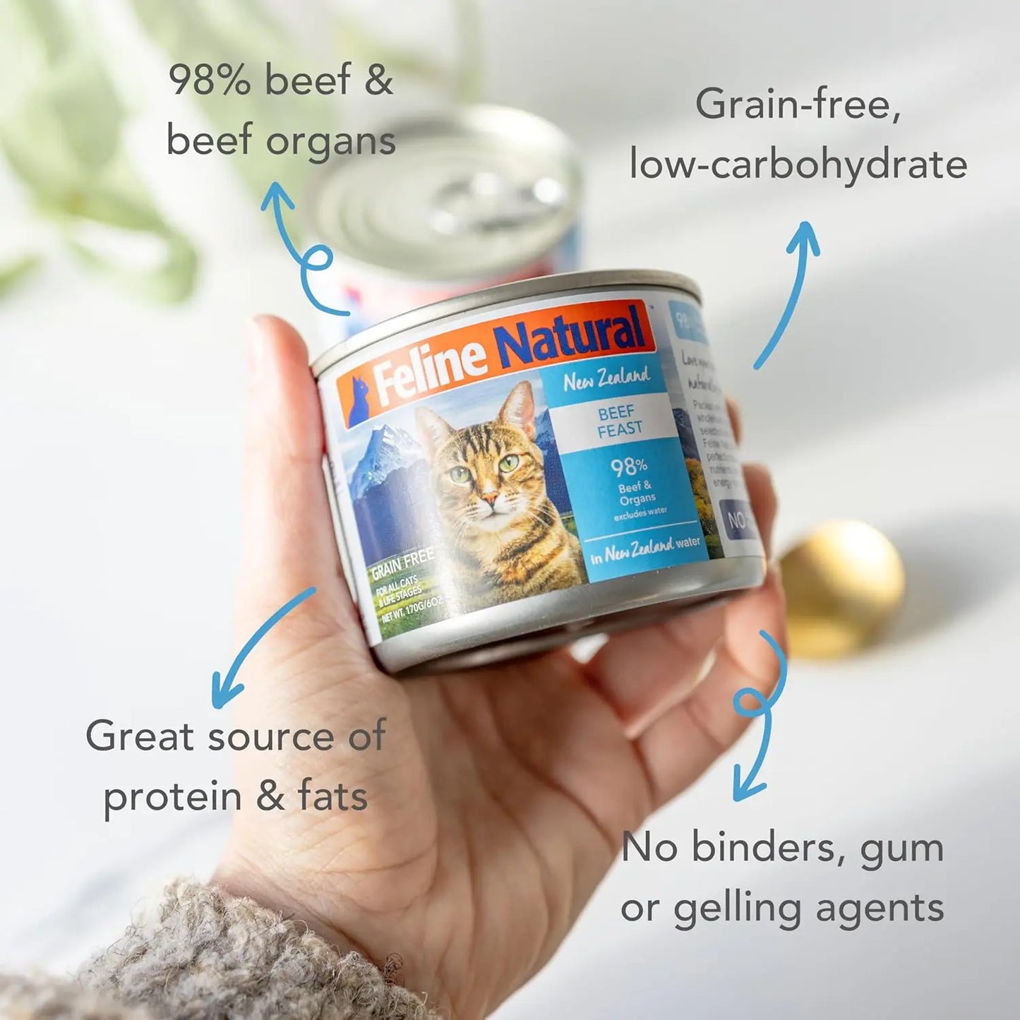 A hand holds a can of Feline Natural Beef Feast Grain-Free Canned Cat Food, made with 98% grass-fed beef and organs, wholefood ingredients, and no binders or gums—a protein-rich meal by Feline Natural.