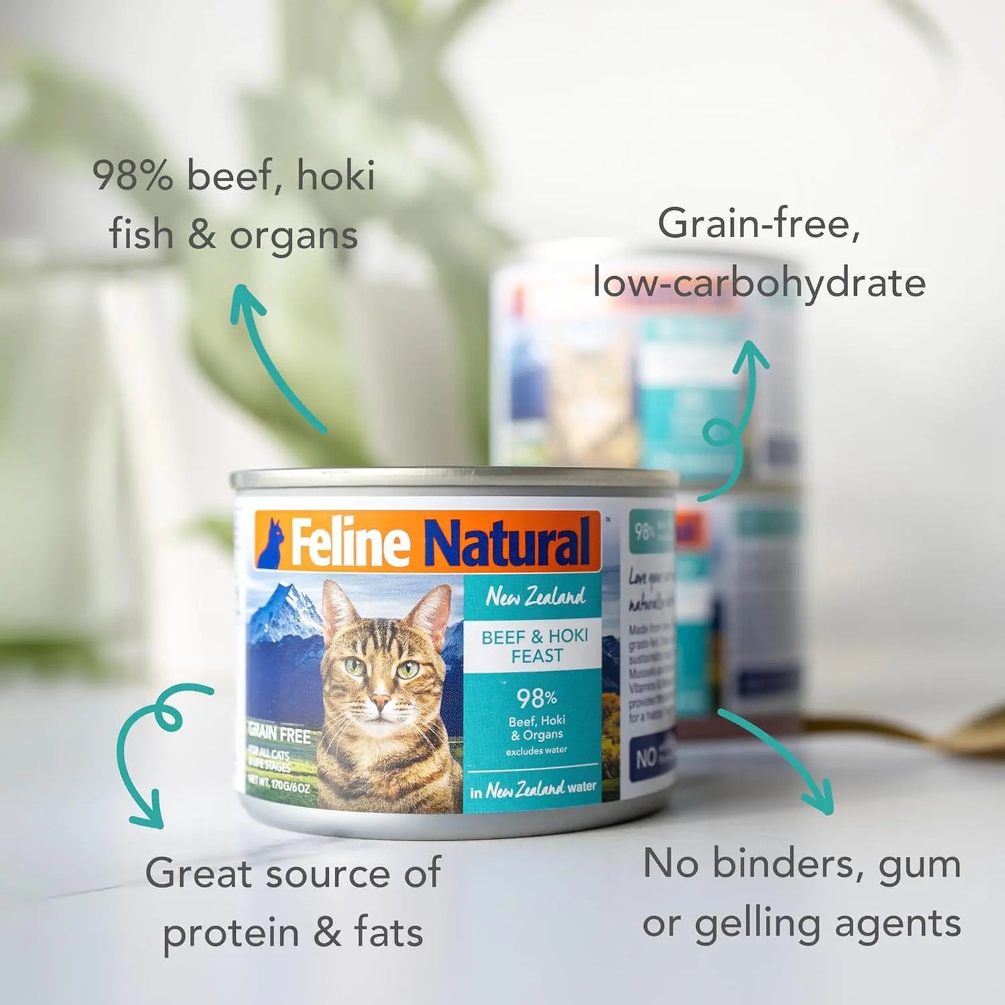 A can of Feline Natural Beef & Hoki Feast Grain-Free Canned Cat Food is shown, highlighting its 98% grass-fed beef, hoki fish & organs, protein-rich, low-carbohydrate formula, with no binders or gelling agents.