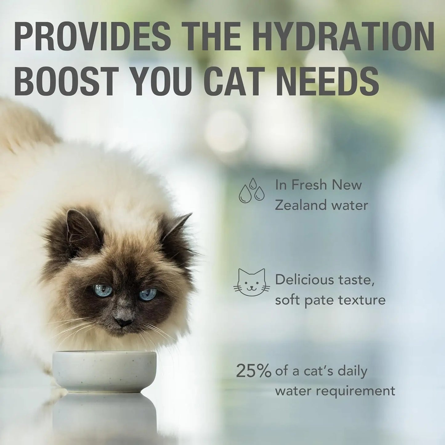 A blue-eyed cat enjoys Feline Natural Feast Grain-Free Wet Cat Food Pouch. Text: “Hydration support from fresh New Zealand water. Tasty soft pate, 25% of daily water needs in each pouch.”.
