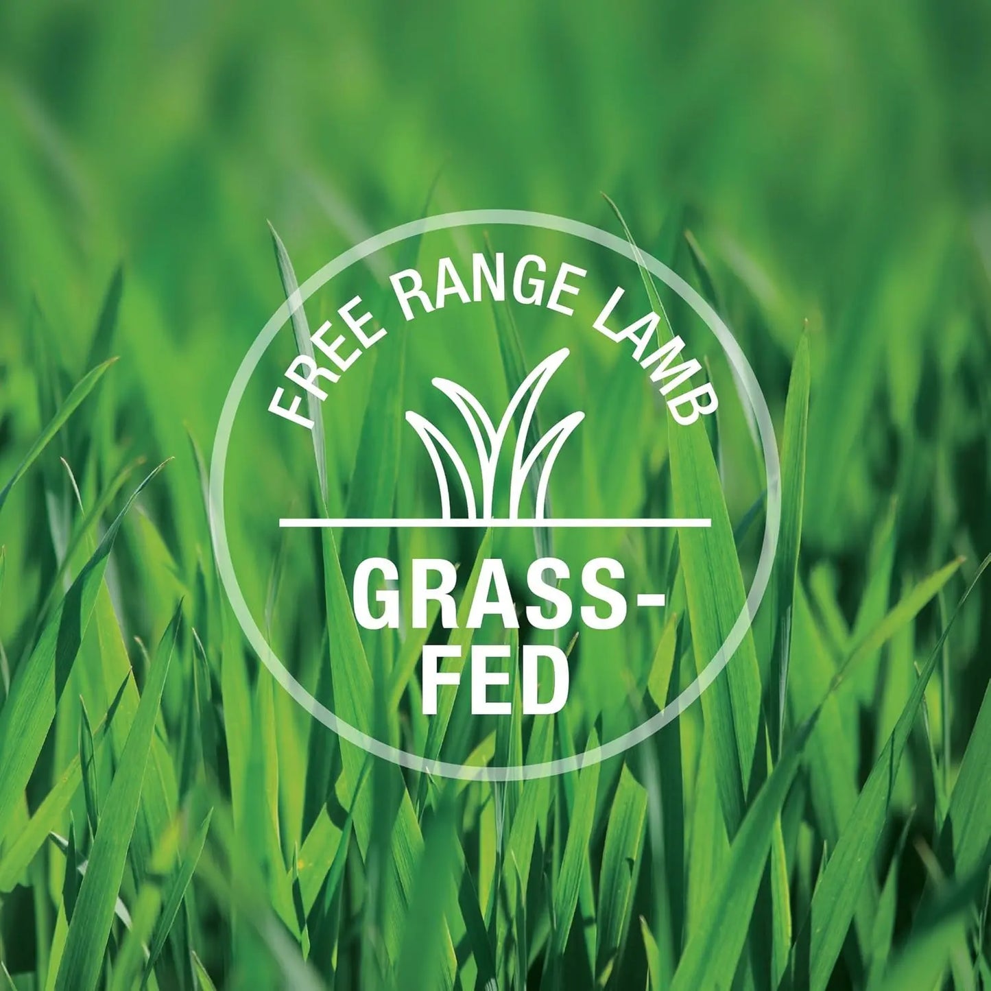 Close-up of green grass with a circular white badge overlay reading “FREE RANGE LAMB” at the top and “GRASS-FED” in bold—ideal for showcasing Feline Natural Lamb Feast Grain-Free Canned Cat Food.