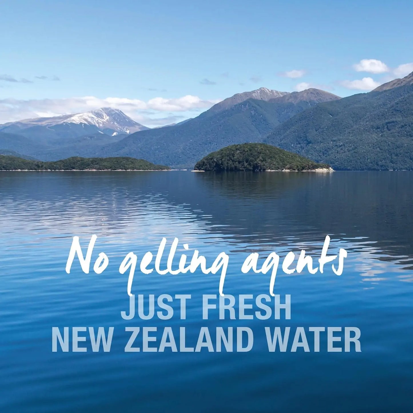 A tranquil lake with forested hills and snowy mountains under a blue sky. Text: No gelling agents—just Feline Natural Lamb Feast Grain-Free Canned Cat Food, made with fresh New Zealand water.