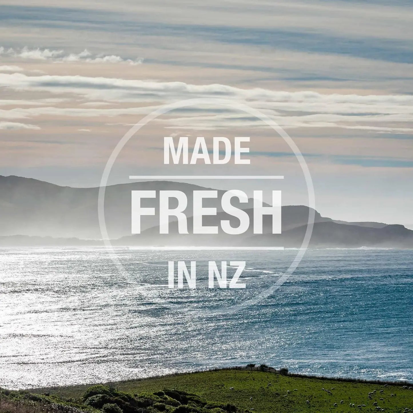 A scenic coastal view with rolling hills and blue ocean waves. White text in a translucent circle reads: MADE FRESH IN NZ—reflecting the origins of Feline Natural New Zealand Beef & Hoki Feast Grain-Free Freeze-Dried Cat Food.
