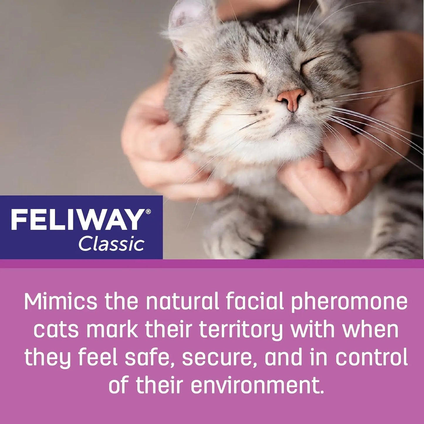A person gently scratches a content gray cat’s chin. Text reads: “Feliway Classic Cat Calming Pheromone Diffuser 30 Day Starter Kit helps reduce feline stress, helping your cat feel safe and secure by mimicking natural calming scents.”.