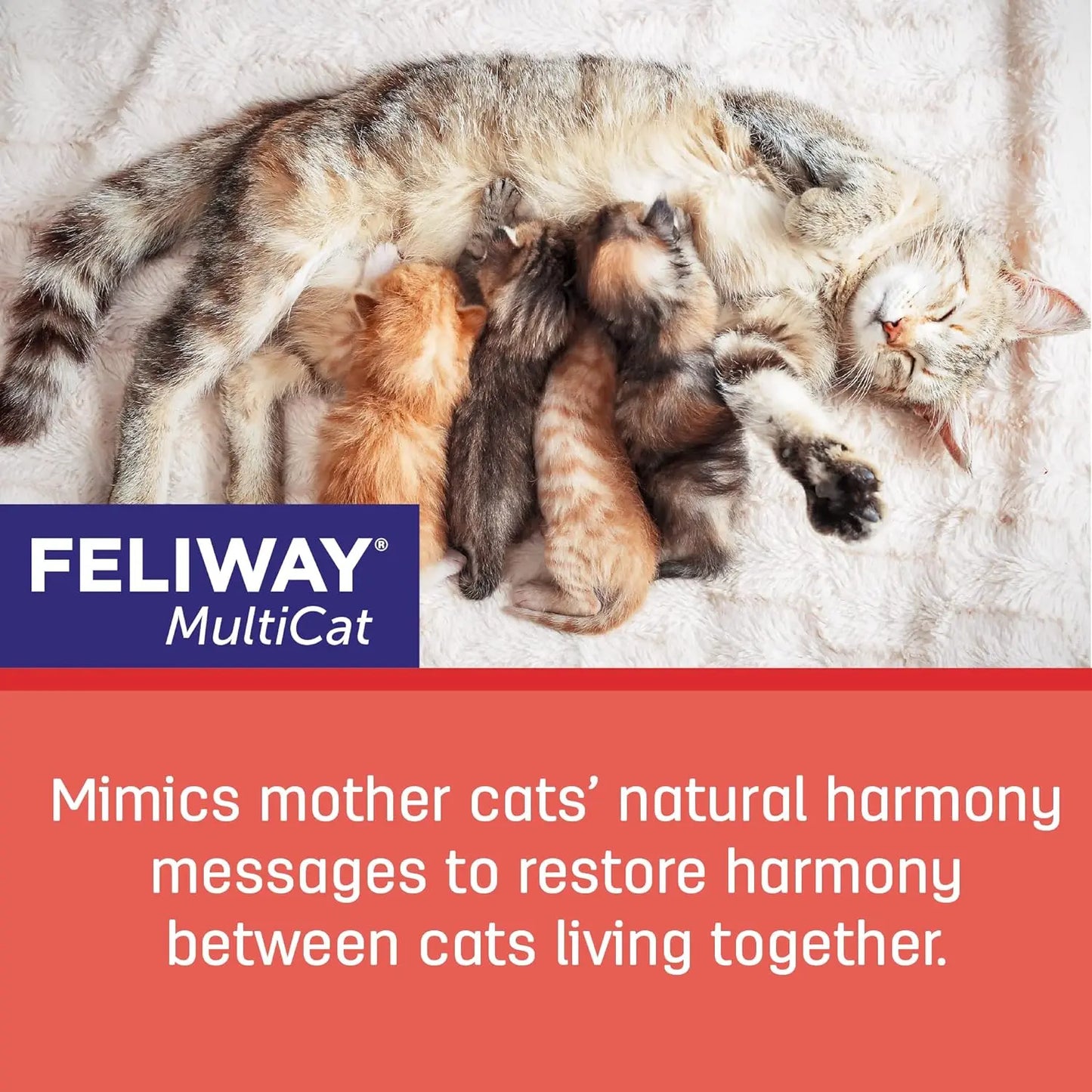 Feliway MultiCat Calming Pheromone Diffuser 30 Day Starter Kit 48 mL Feliway