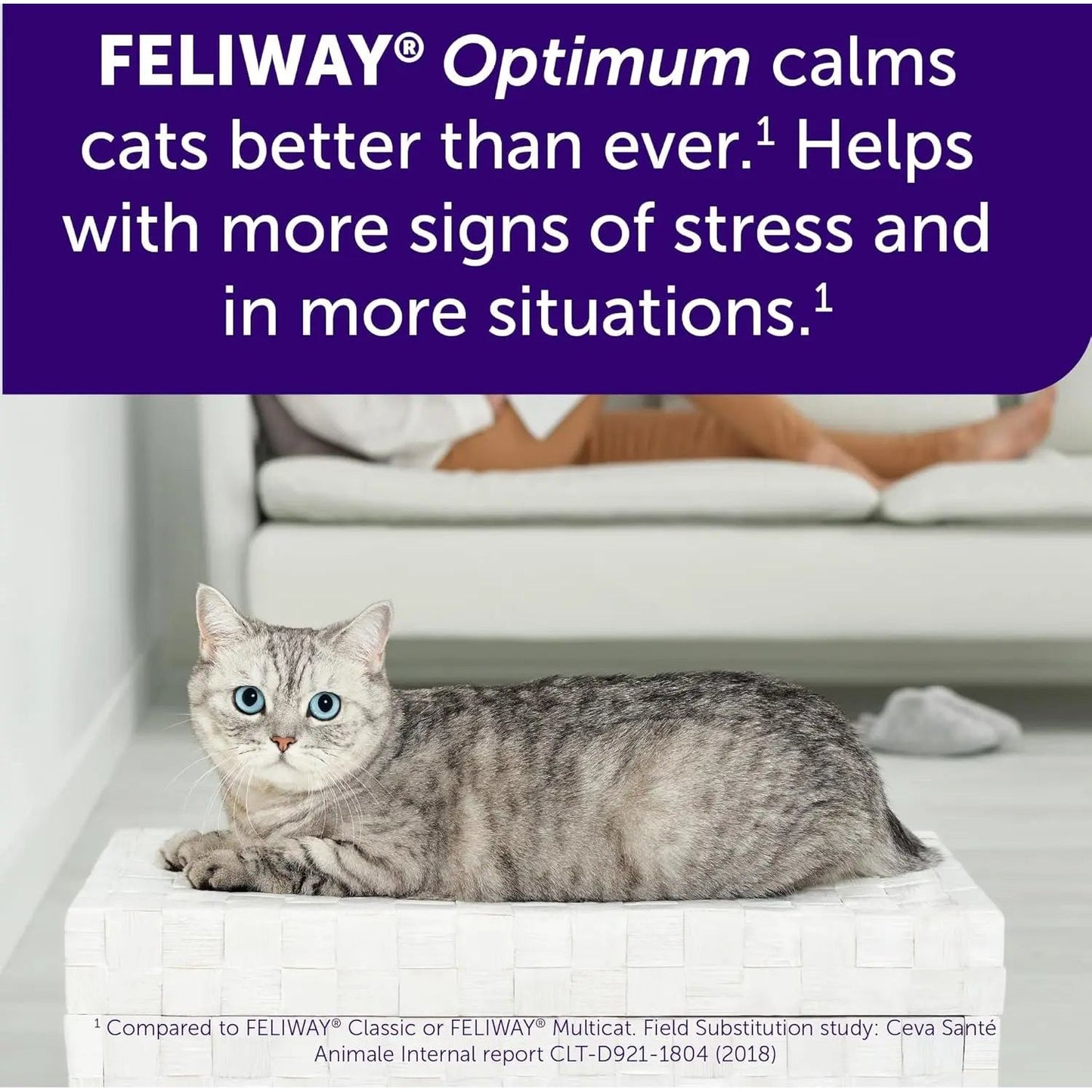 A gray tabby cat lies on a white textured mat in a modern room, looking at the camera. Text above reads: Feliway Optimum Cat Enhanced Calming Pheromone Diffuser 30 Day Starter Kit by Feliway helps reduce more signs of cat stress.