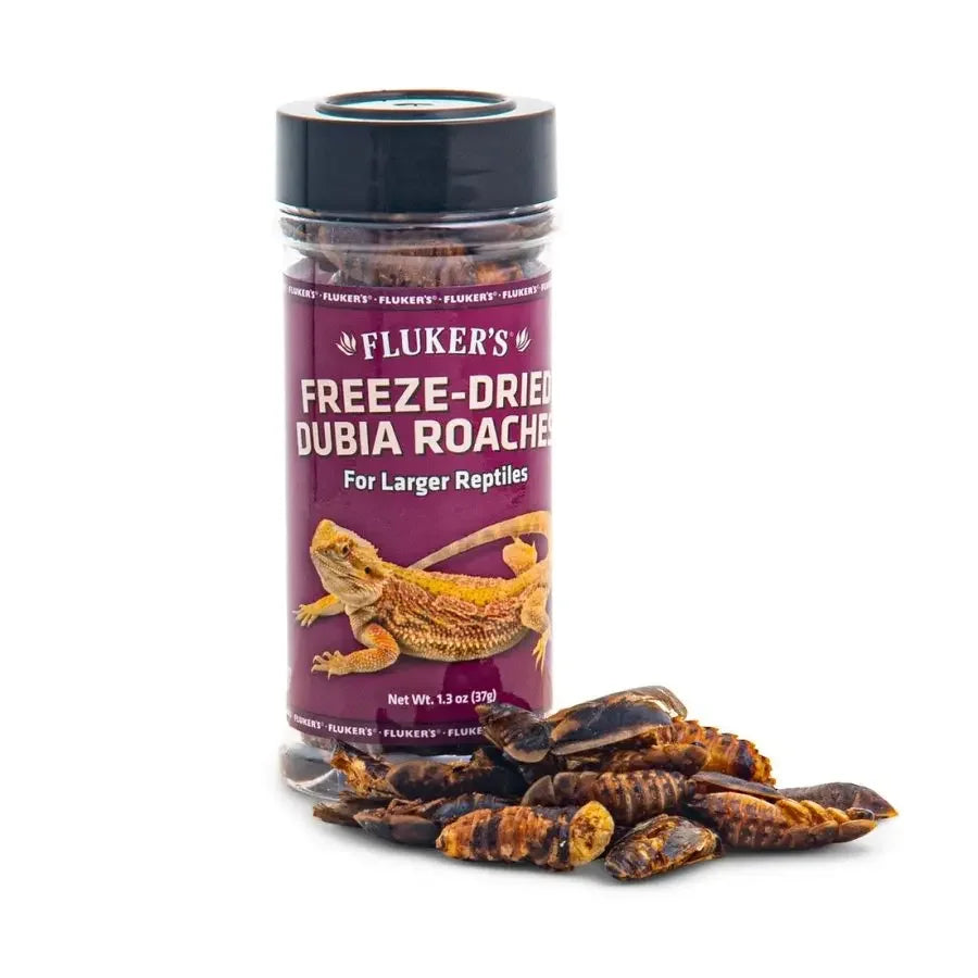 Fluker's Freeze-Dried Dubia Roaches Reptile Treats 1.3 oz Fluker s