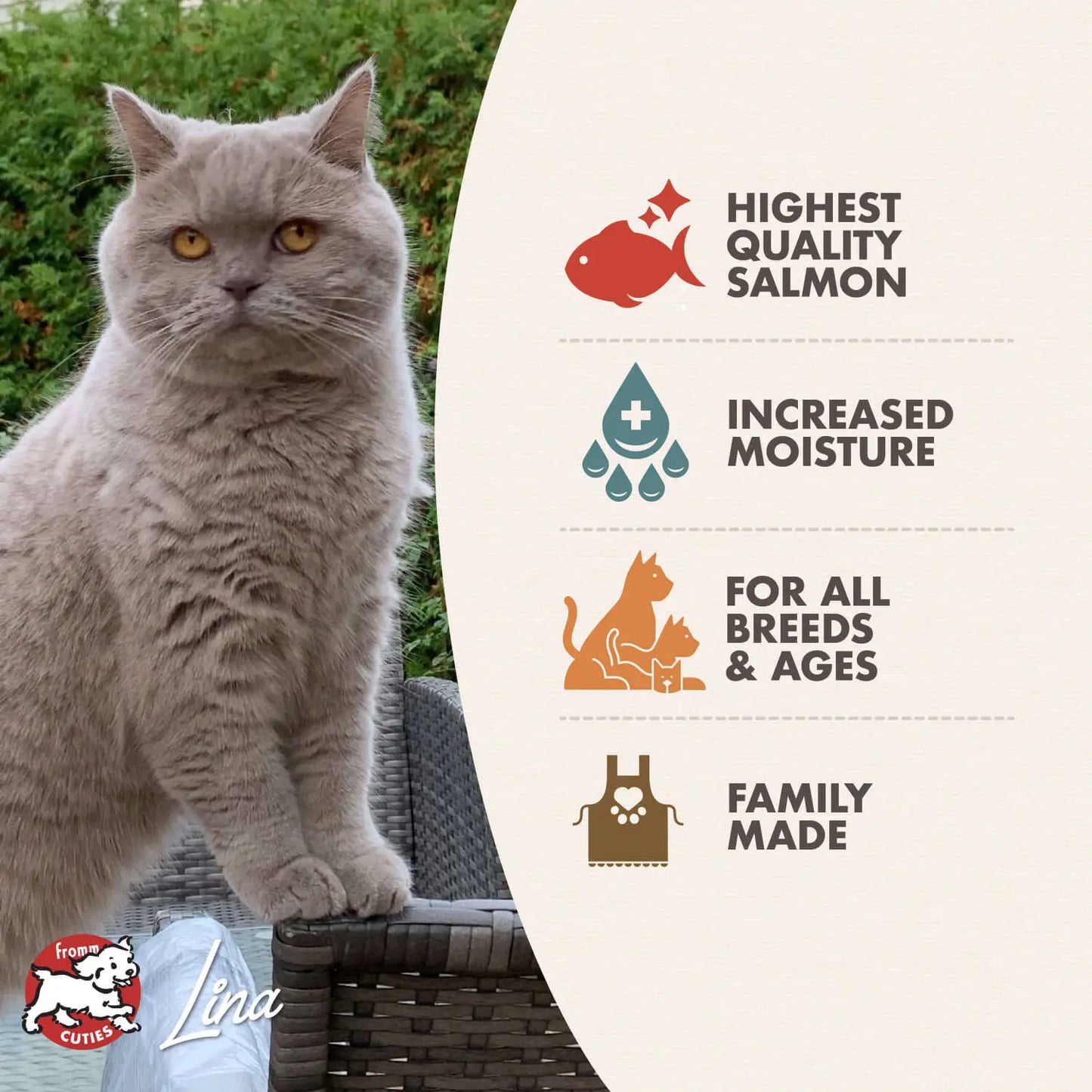 Fromm Cat-A-Stroni Salmon & Vegetable Wet Cat Food 12 / 5.5 oz Fromm
