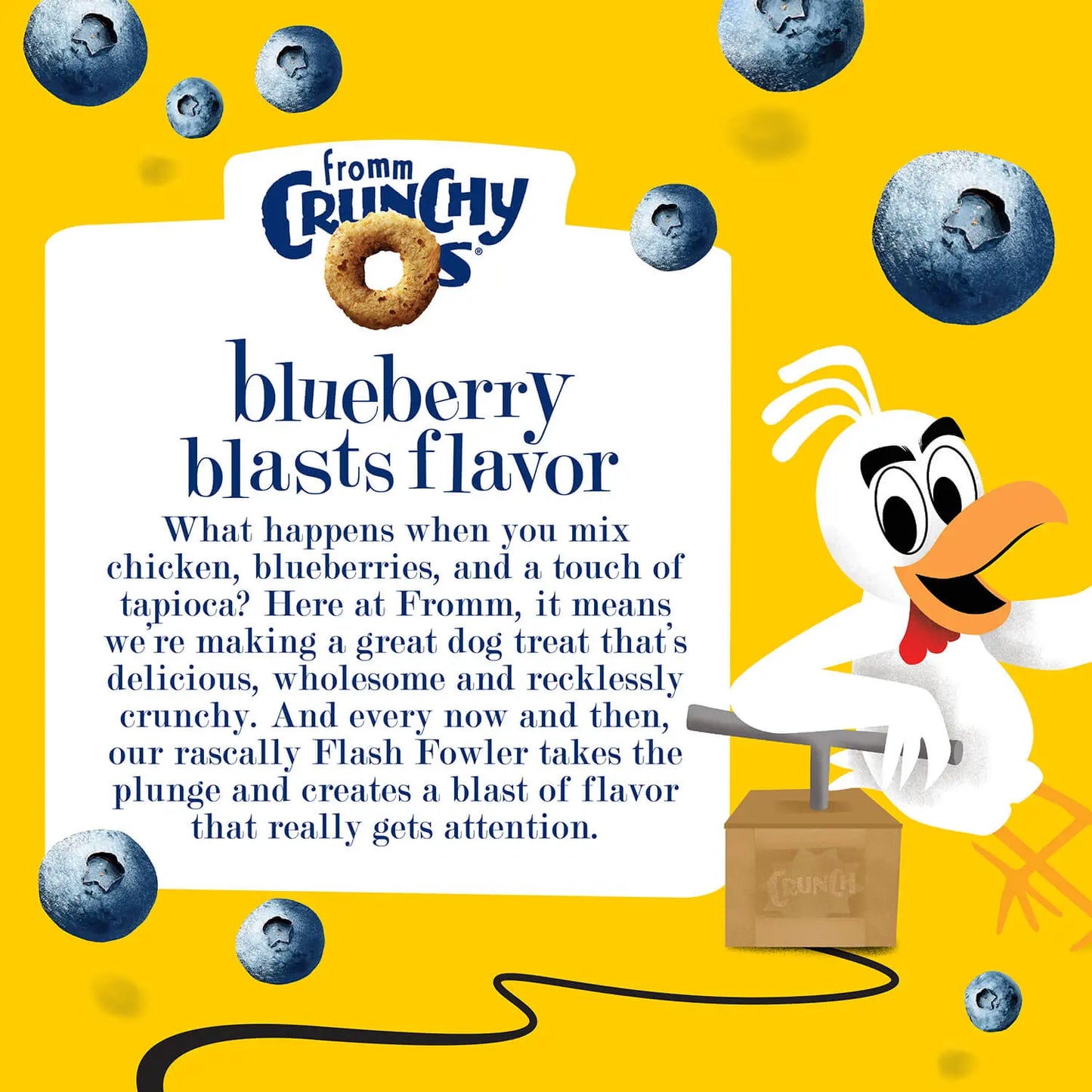 Fromm Crunchy O's Dog Blueberry Blasts Flavor Treats 6 oz Fromm
