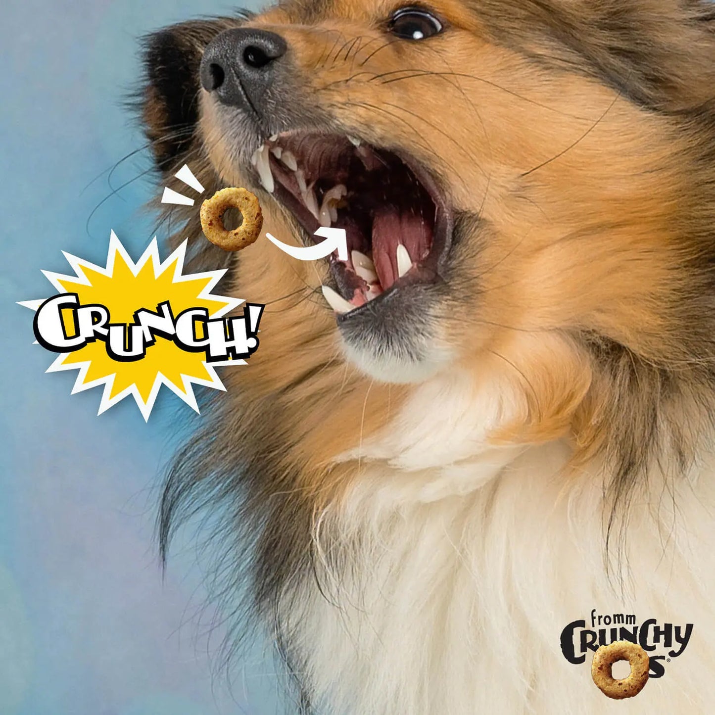 Fromm Crunchy O's Dog Blueberry Blasts Flavor Treats 6 oz Fromm