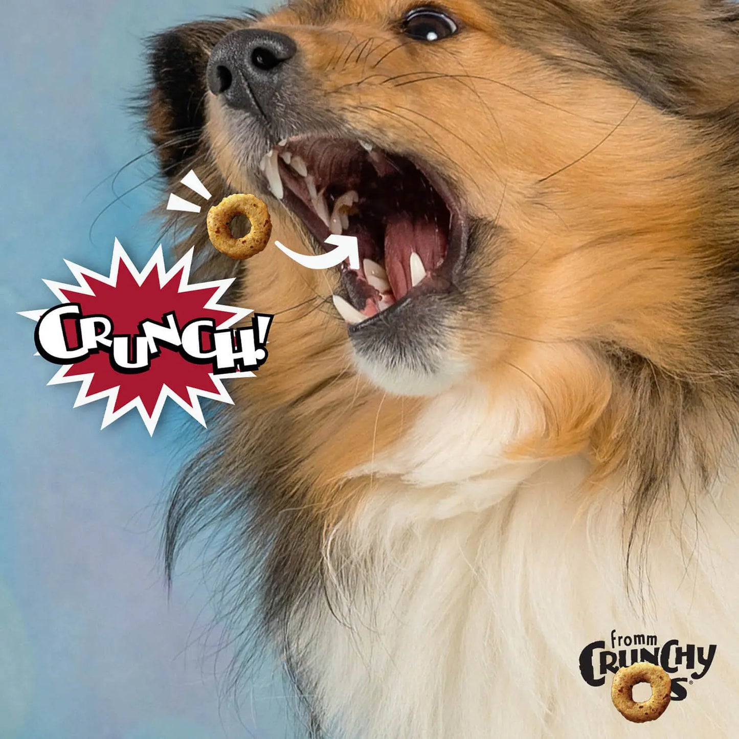 Fromm Crunchy O's Dog Pot Roast Punchers Flavor Treats 6 oz Fromm