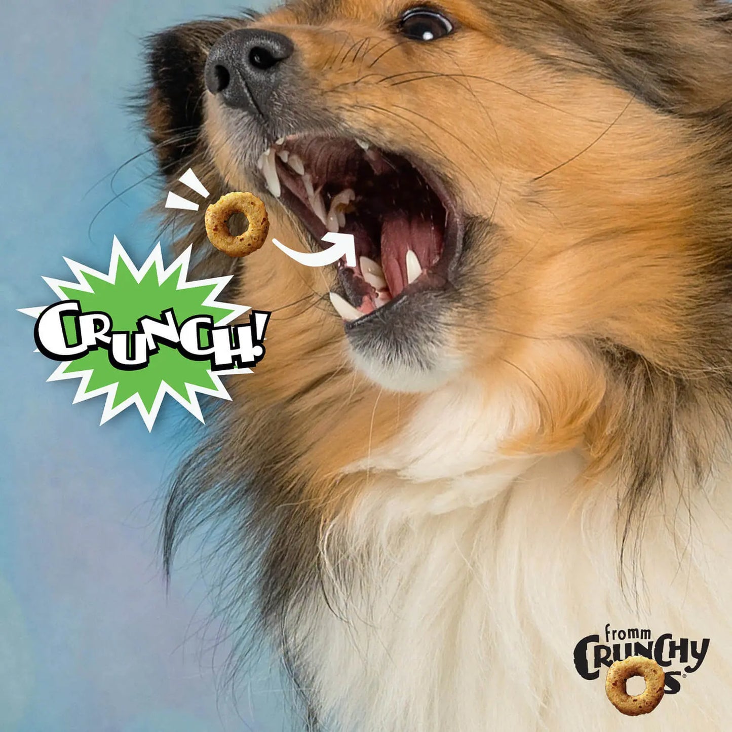 Fromm Crunchy O's Dog Pumpkin Kran Pow Treats 6 oz Fromm
