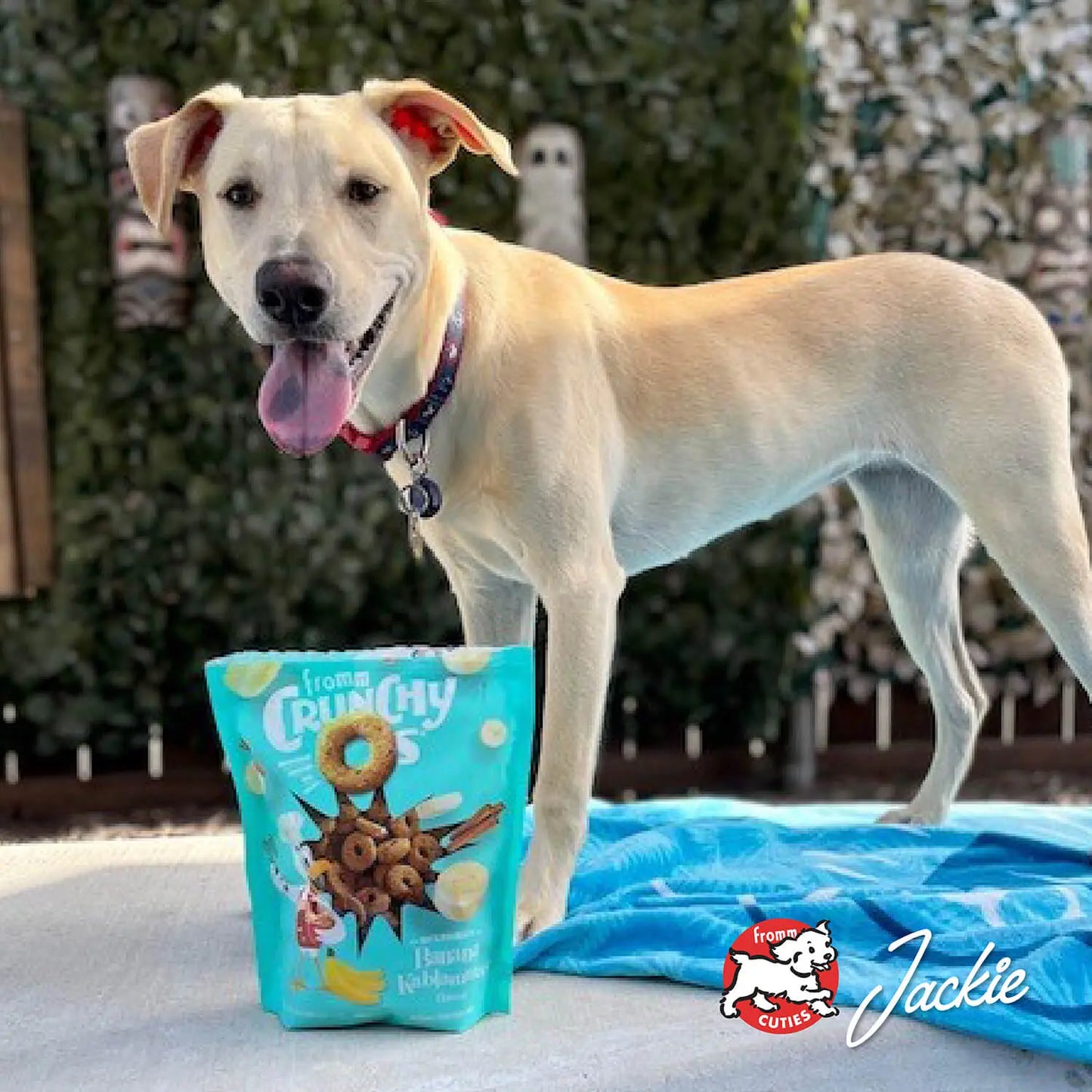 Fromm Crunchy O's Dog Smokin' CheesePlosions Flavor Treats 6 oz Fromm